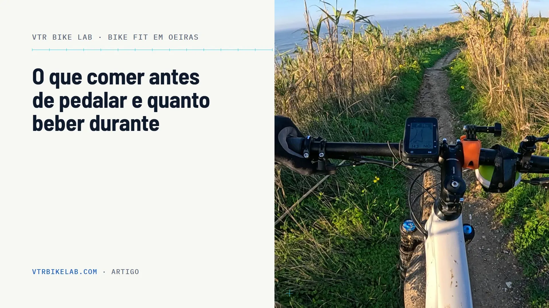 O que comer antes de pedalar e quanto beber durante — VTR BIKE LAB, Oeiras