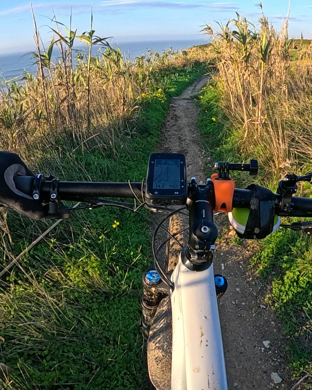 Trilho na arriba visto do guiador, com o ciclocomputador, canas dos dois lados e o mar ao fundo — uma saída de treino do Victor